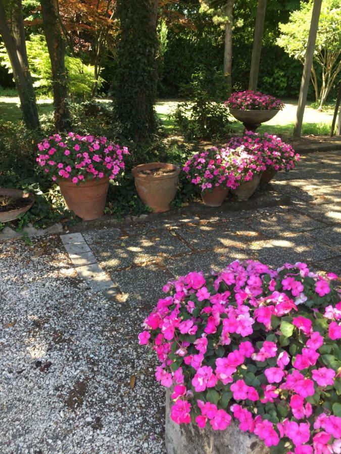 Corte Posta B&B - Parcheggio E Bagno In Camera Мантуя Экстерьер фото